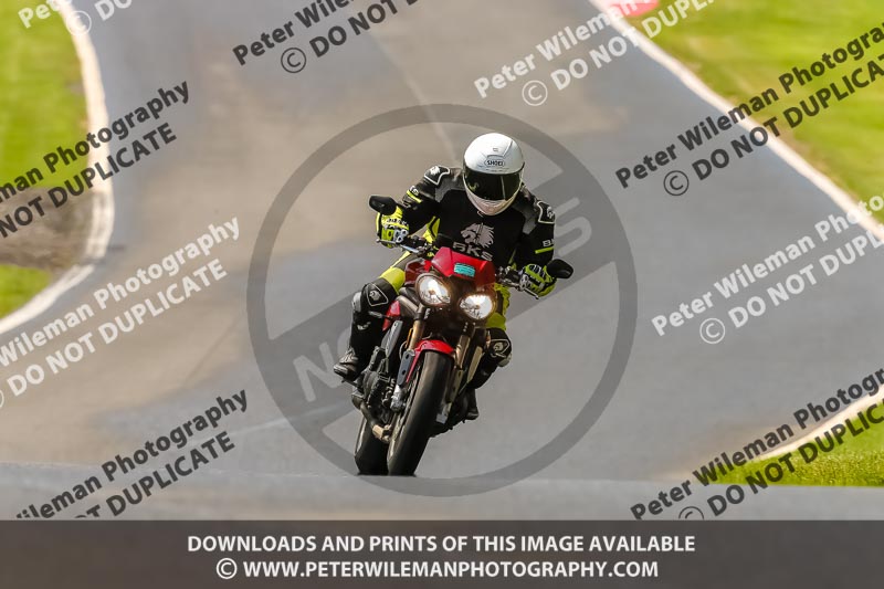 PJ Motorsport Photography 2020;anglesey;brands hatch;cadwell park;croft;donington park;enduro digital images;event digital images;eventdigitalimages;mallory;no limits;oulton park;peter wileman photography;racing digital images;silverstone;snetterton;trackday digital images;trackday photos;vmcc banbury run;welsh 2 day enduro